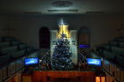 FSMC Christmas tree with over 1600 lights
